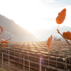 Südtirol Schattenseiten und Kritik Umwelt - Reiseblog Bravebird