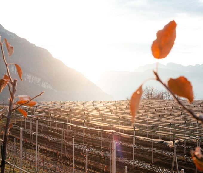 Südtirol Schattenseiten und Kritik Umwelt - Reiseblog Bravebird