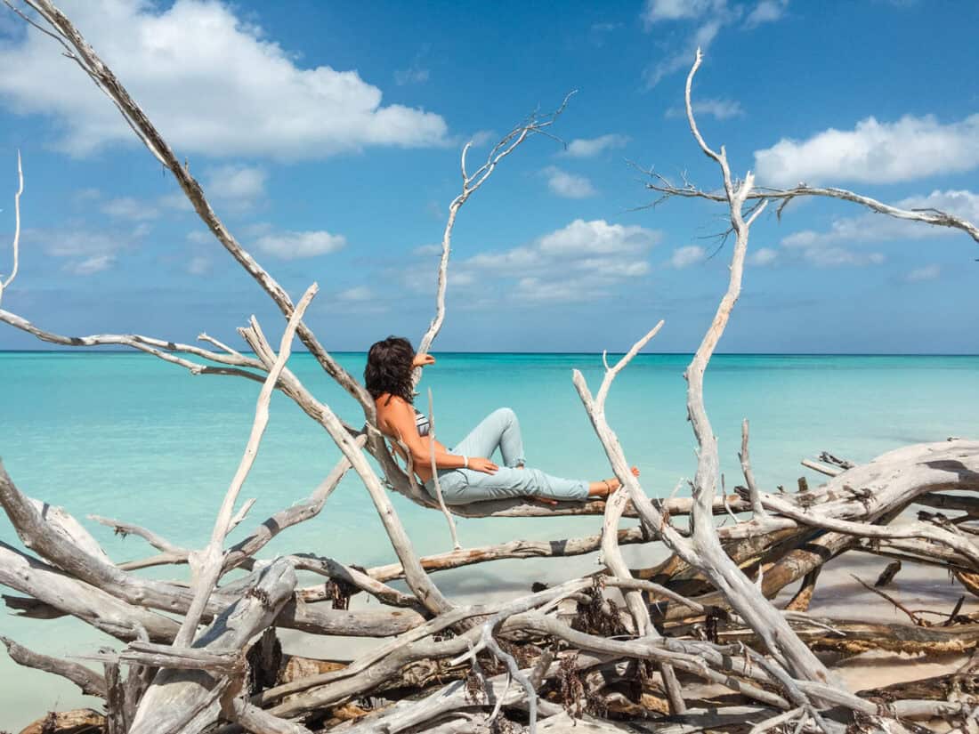 Aus dem Hamsterrad zu mehr Sinn im Leben - 10 Jahre Freiheit - Ute Kranz Bravebird