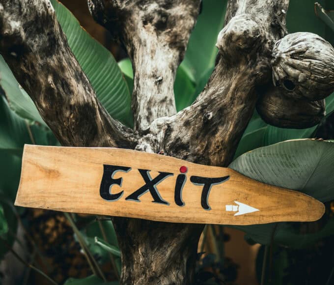 Blog muss weniger nachhaltig werden - Reiseblog Bravebird