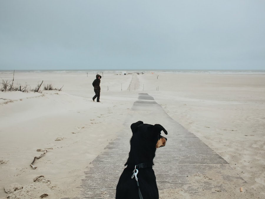 Frau im Parka kämpft mit dem Wind am einsamen Strand von Norderney, während mein Hund im Vordergrund sitzt und die Weite genießt.