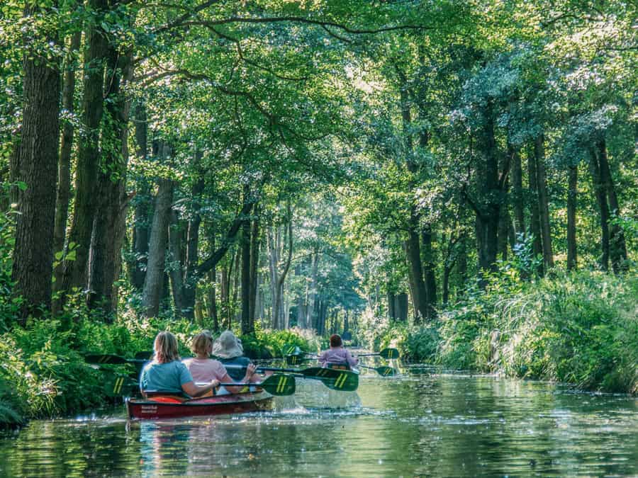 Kanus auf einem Kanal im Spreewald, umgeben von dichten Wäldern und Bäumen