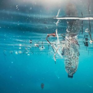 PET-Flaschen aus dem Meer werden wiederverwendet - Ist das nachhaltig?