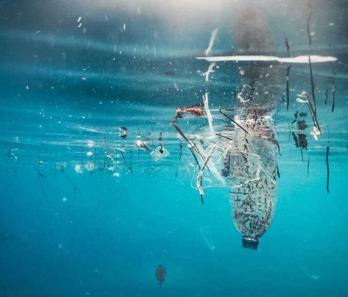 PET-Flaschen aus dem Meer werden wiederverwendet - Ist das nachhaltig?
