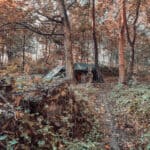 Obdachlose im Wald, Menschen die im Wald leben und welche Probleme sich dadurch ergeben