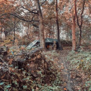 Obdachlose im Wald, Menschen die im Wald leben und welche Probleme sich dadurch ergeben