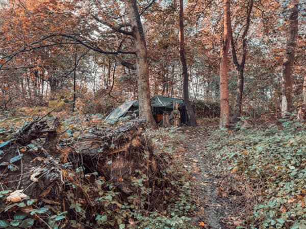 Obdachlose im Wald, Menschen die im Wald leben und welche Probleme sich dadurch ergeben
