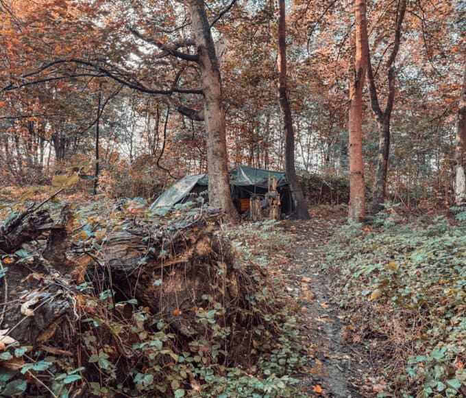 Obdachlose im Wald, Menschen die im Wald leben und welche Probleme sich dadurch ergeben