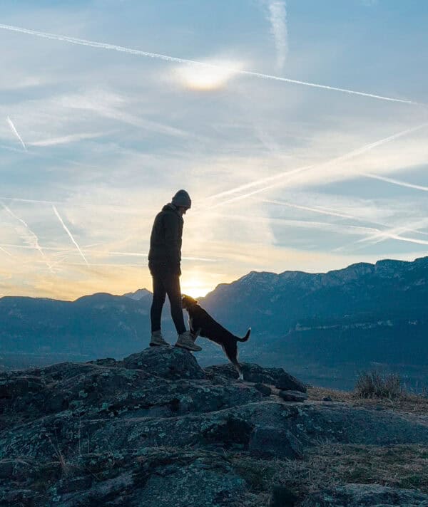 Was passiert in 2025 mit Bravebird?