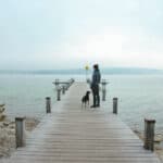 Nachhaltigkeit - Loslassen was nicht funktioniert