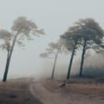 Rekorde in 2024, die wir nicht feiern können