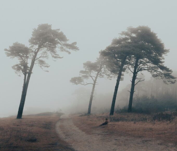 Rekorde in 2024, die wir nicht feiern können