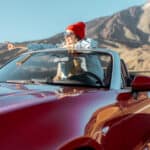 KFZ-Versicherung für die Reise und deinen Roadtrip