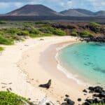 Optimale Reisezeit für Galapagos und Ecuador - Rundreise