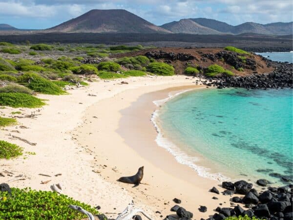 Optimale Reisezeit für Galapagos und Ecuador - Rundreise