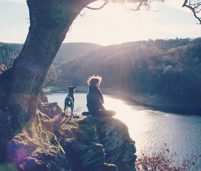 Bravebird verabschiedet sich von Instagram