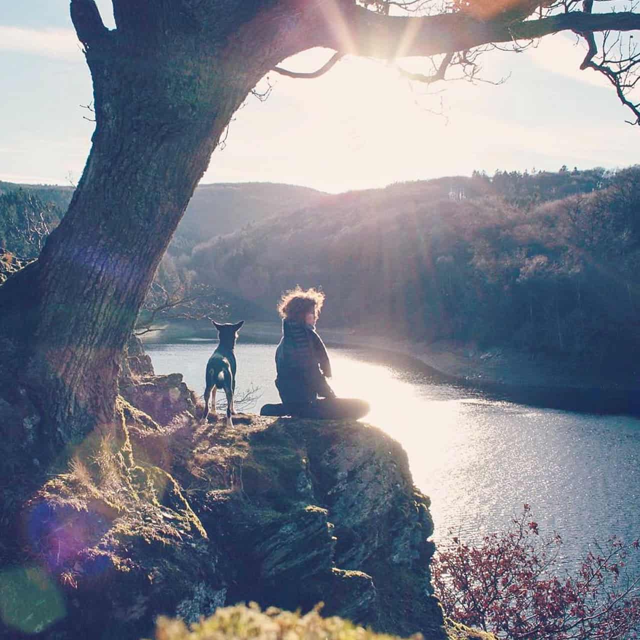 Bravebird verabschiedet sich von Instagram