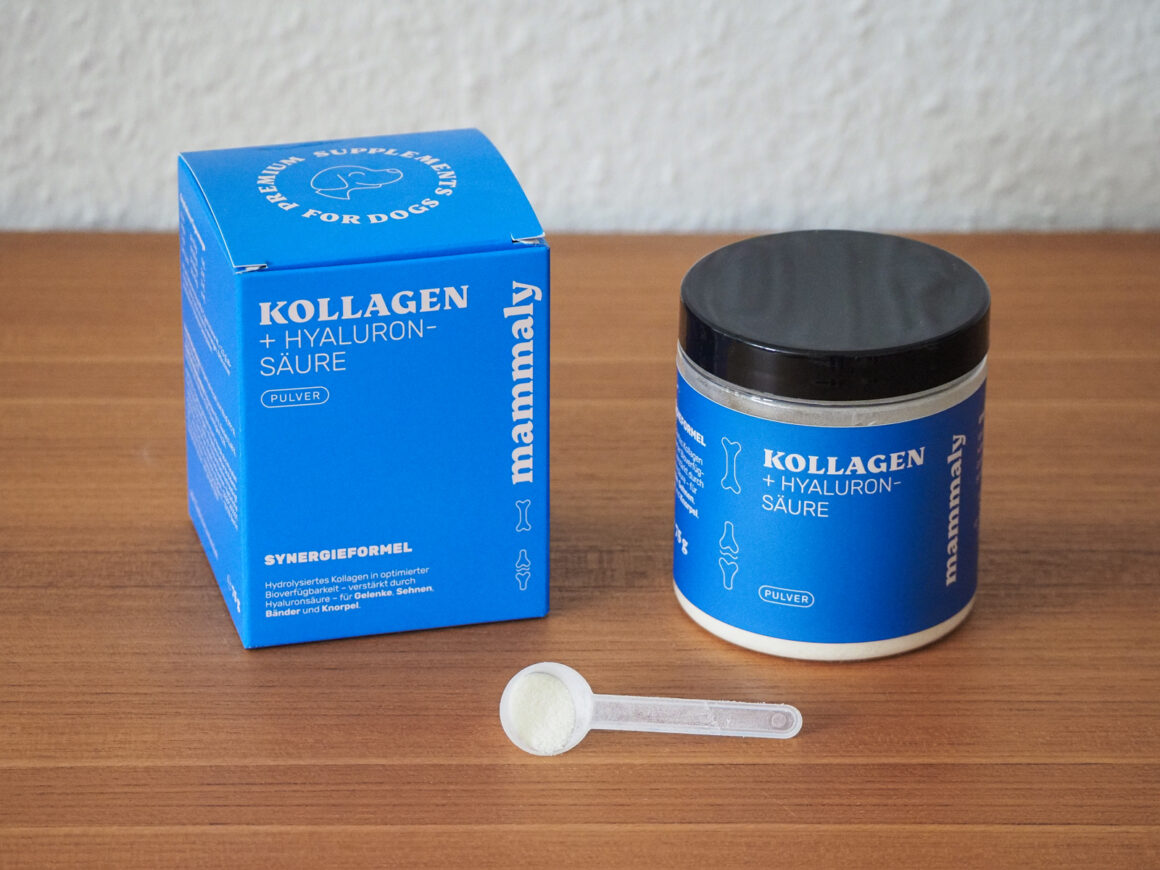Verpackung und Dose von Mammaly Kollagen + Hyaluronsäure mit Messlöffel auf einem Holztisch.