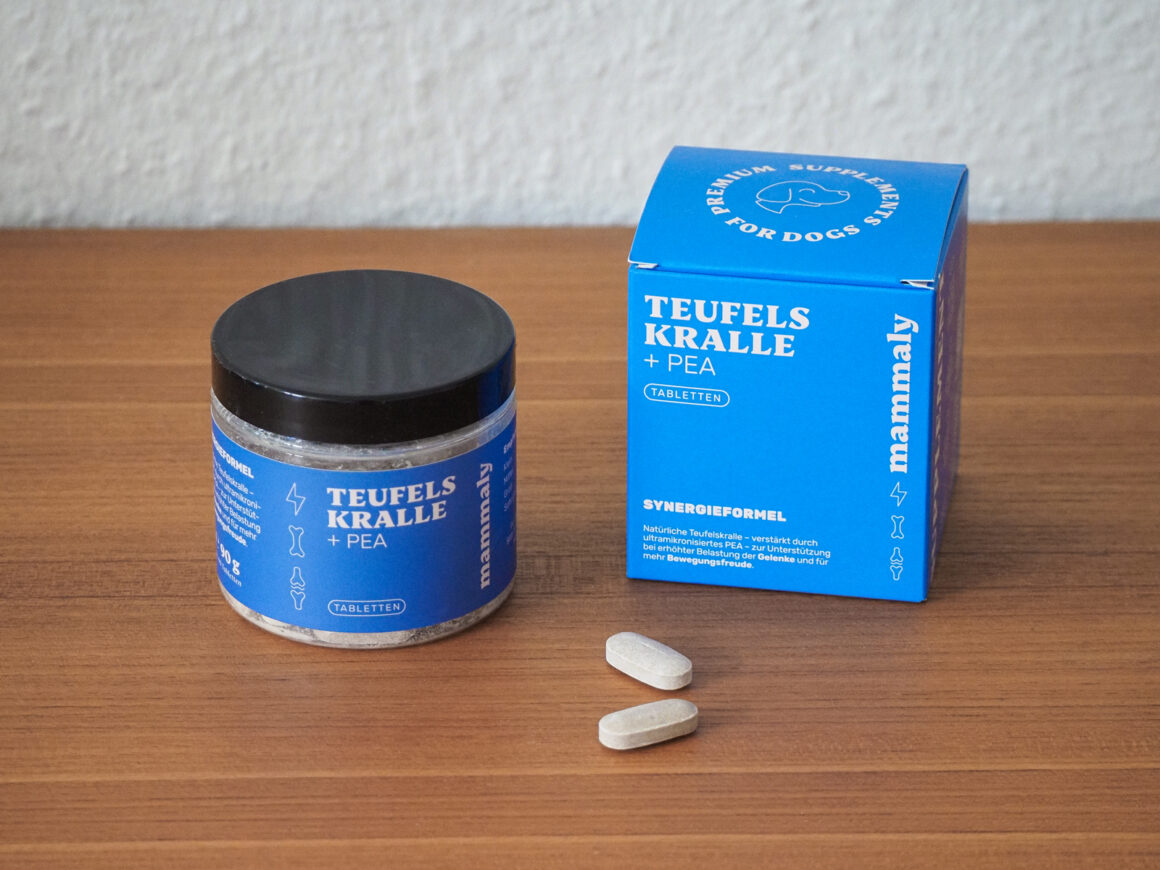 Dose und Verpackung von Mammaly Teufelskralle + PEA mit zwei Tabletten auf einem Holztisch
