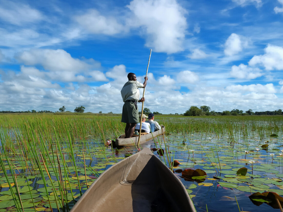 Mokoro-Kanu im Okavango-Delta in Botswana.