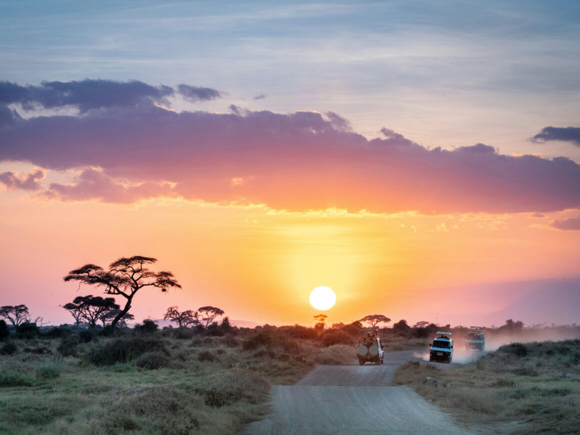 Safarifahrzeuge fahren bei Sonnenuntergang durch die Savanne in Kenia.