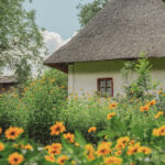 Naturnaher Garten für den Wildtierschutz mit zahlreichen orangefarbenen Blüten vor einem reetgedeckten Haus.