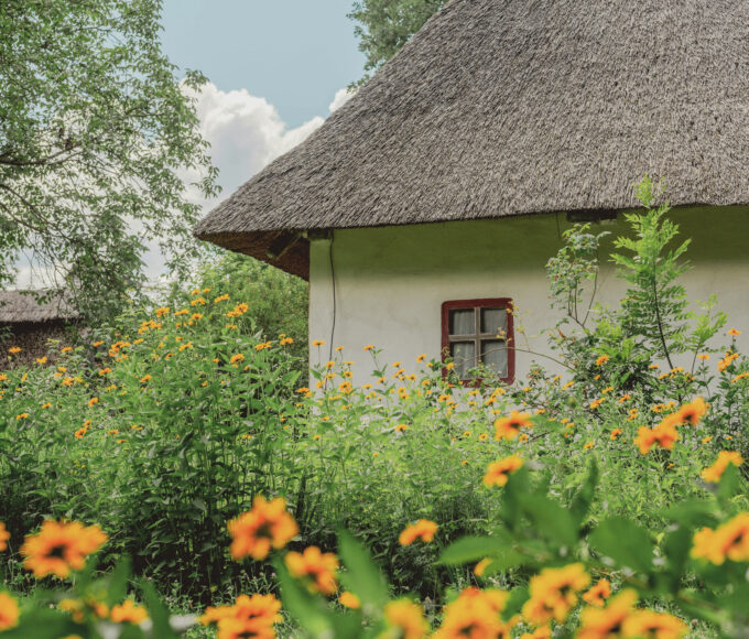 Naturnaher Garten für den Wildtierschutz mit zahlreichen orangefarbenen Blüten vor einem reetgedeckten Haus.