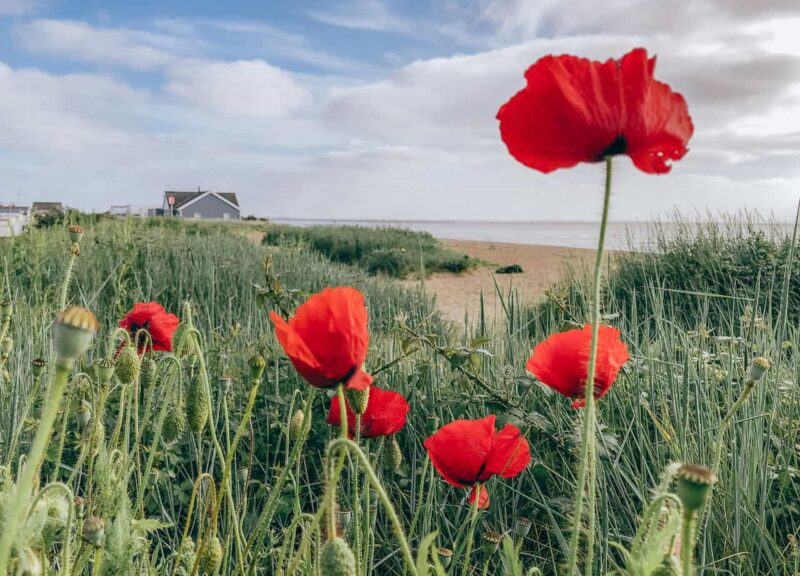 Roadtrip Ostengland Reisetipps - Reiseblog Bravebird